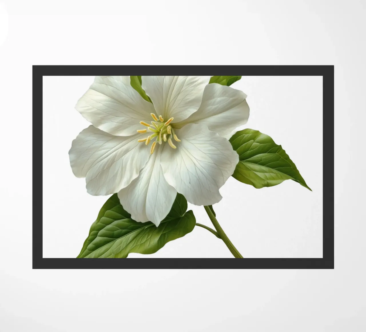 Fiore di trillium zerbino da Bold Blooms