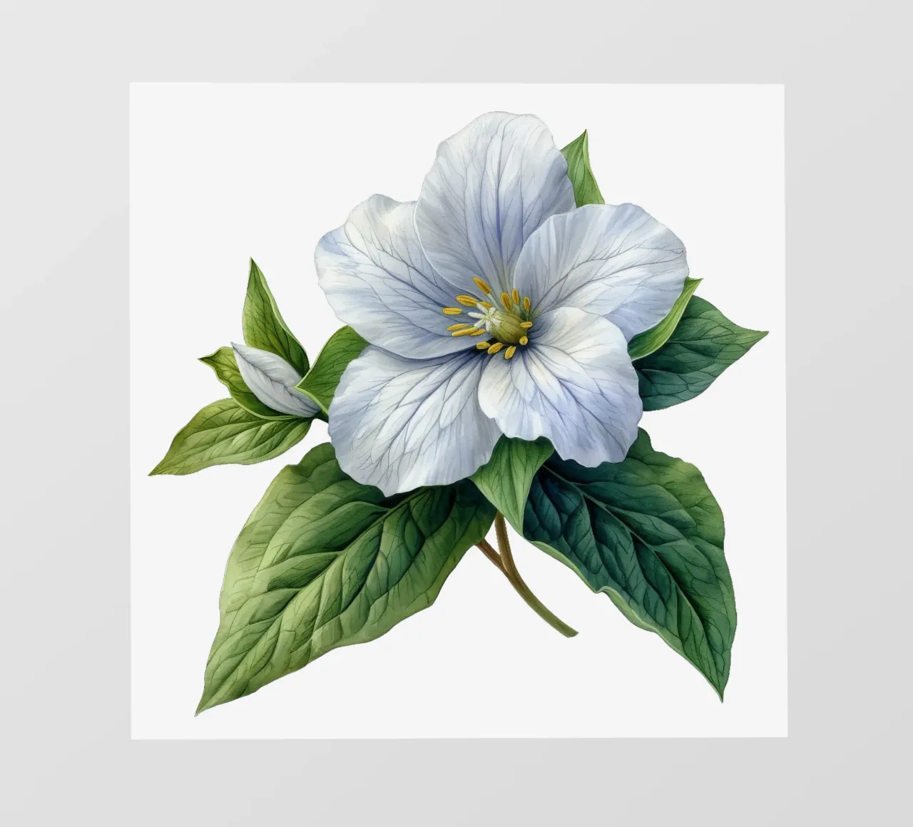 Fiore di trillium telo in pvc da Bold Blooms