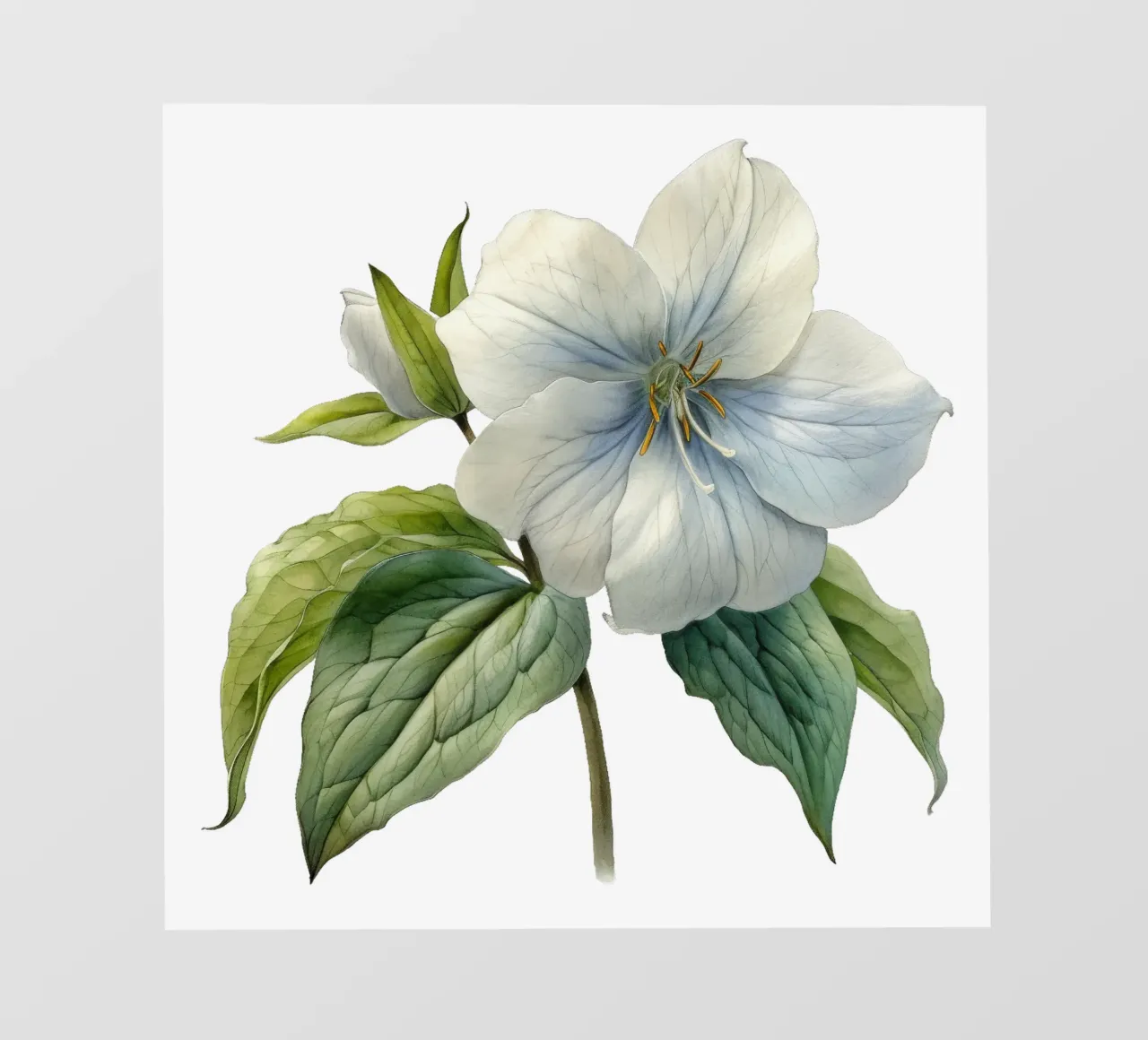 Fiore di trillium pellicola backlit da Bold Blooms
