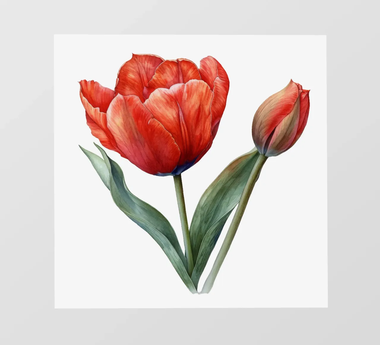 Fiore di tulipano telo in pvc da Bold Blooms