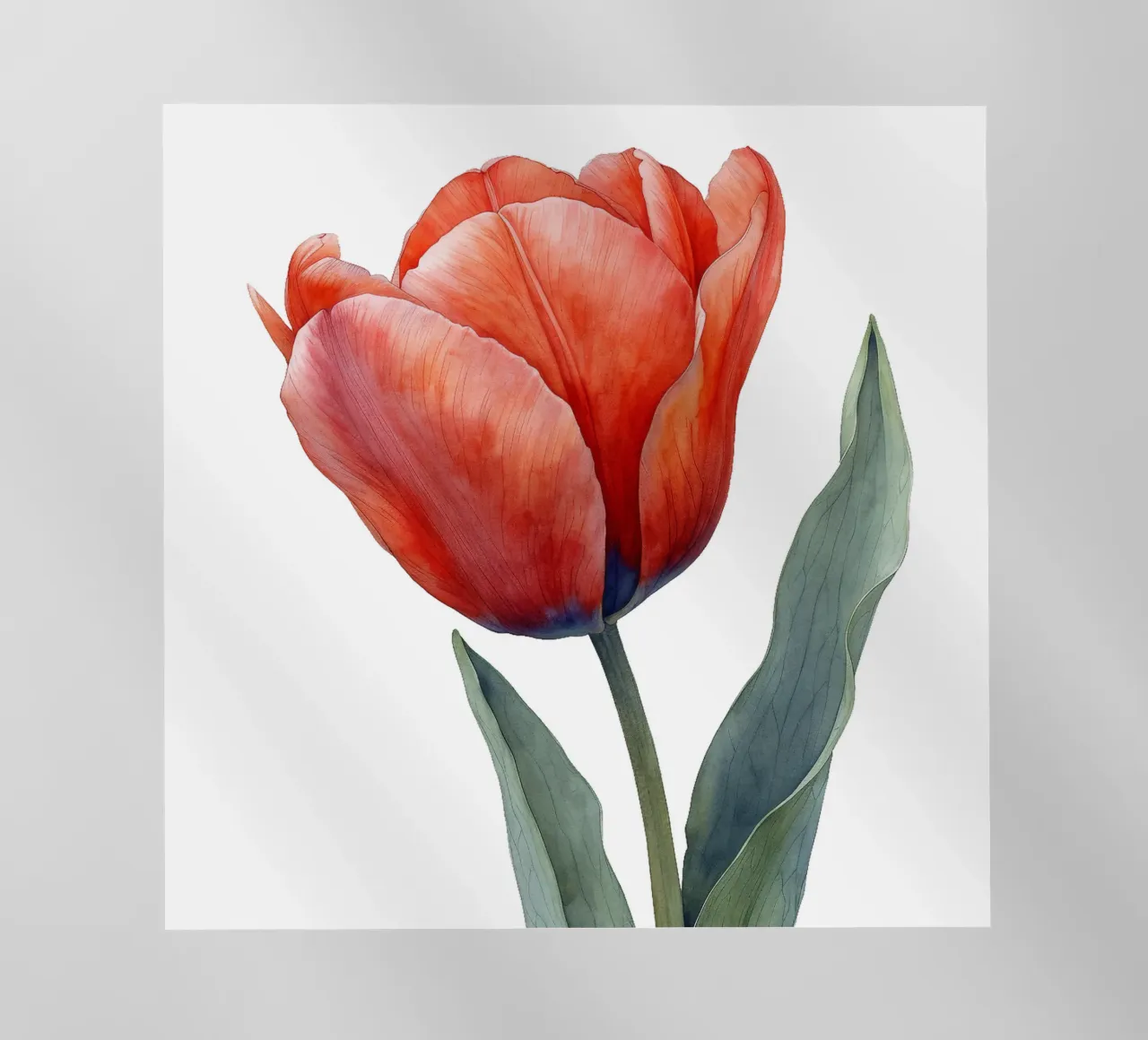 Fiore di tulipano pellicola backlit da Bold Blooms