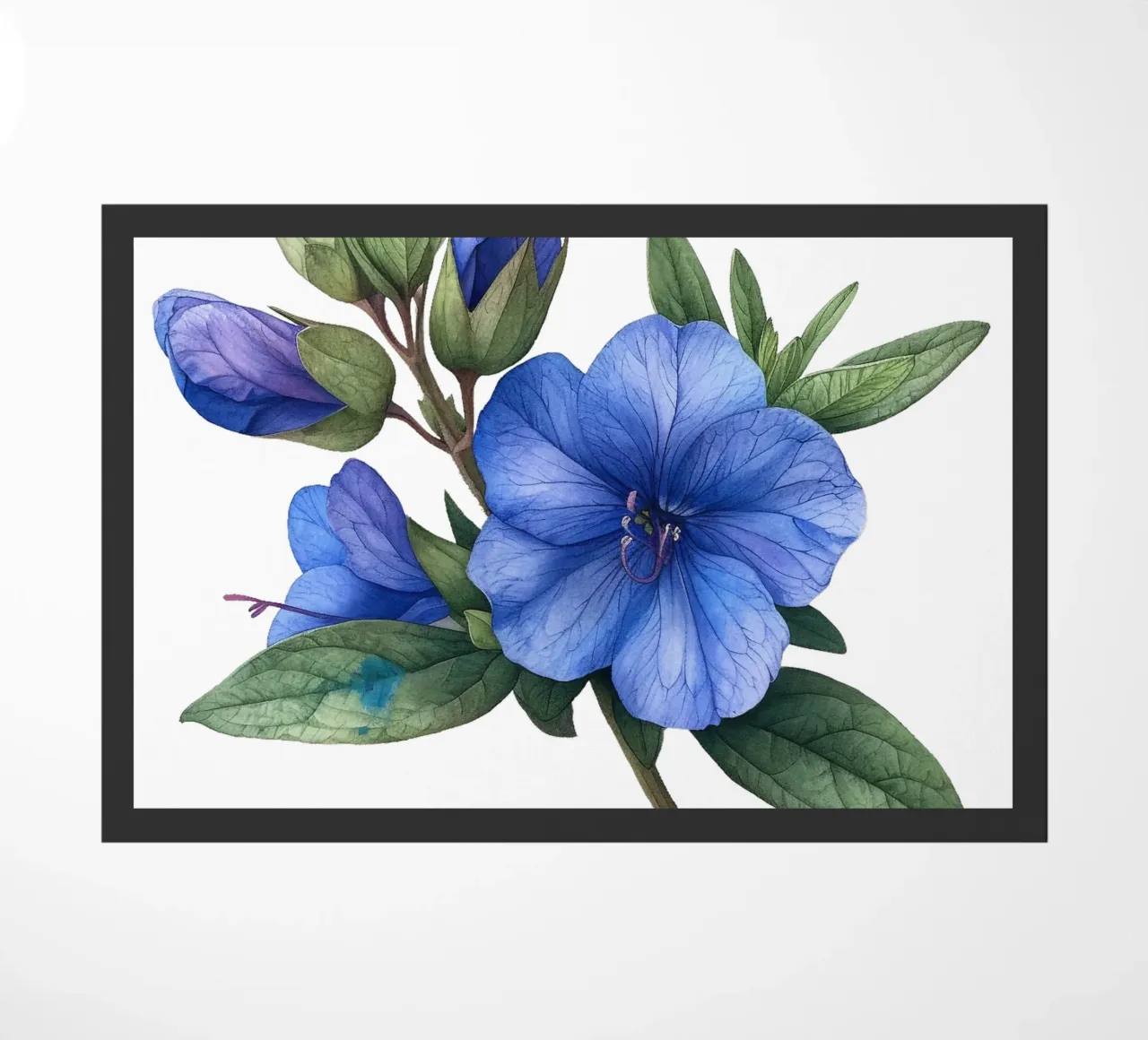 Fiore di Veronica zerbino da Bold Blooms