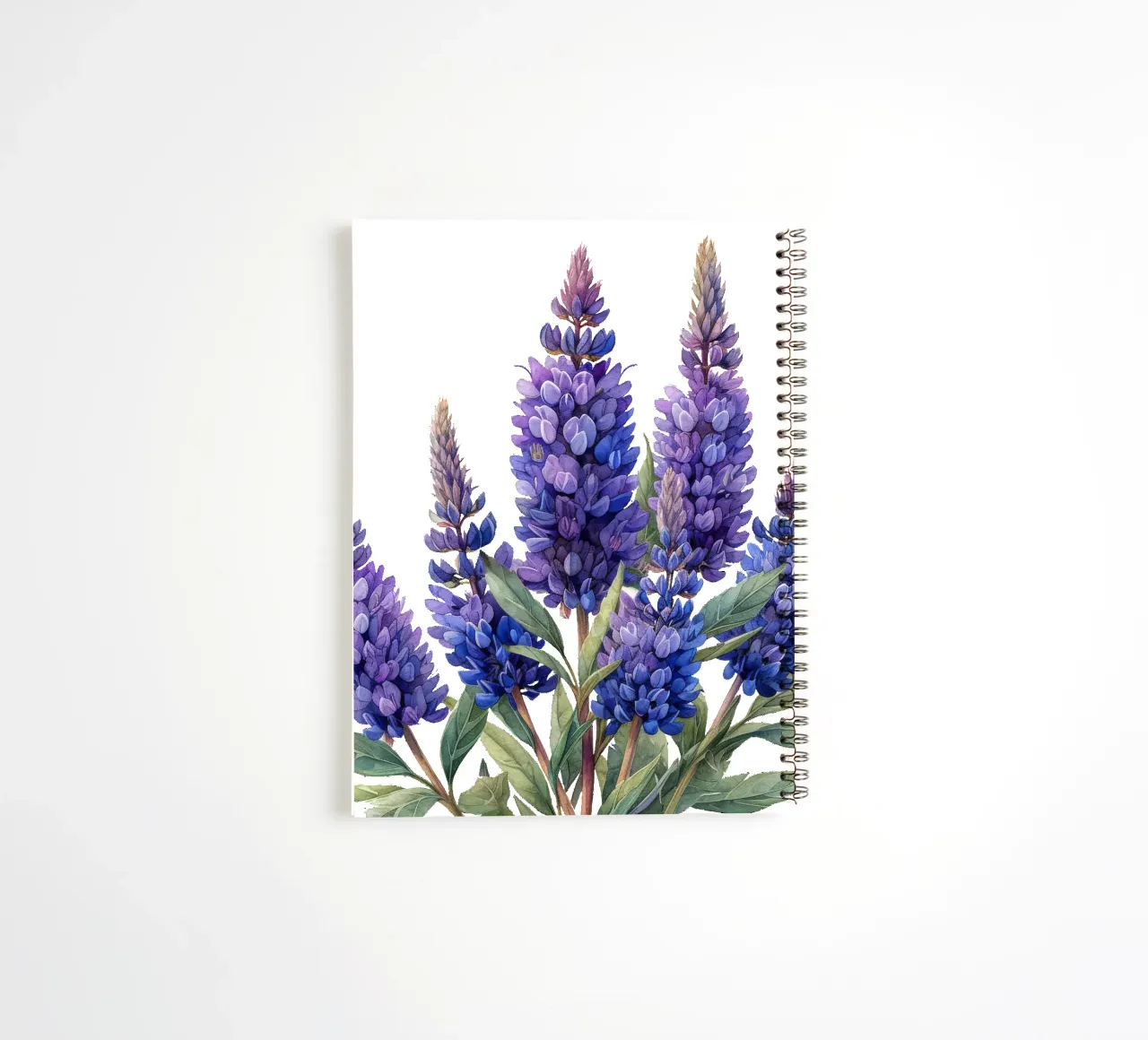 Veronicastrum Blume Ringbuch von Bold Blooms