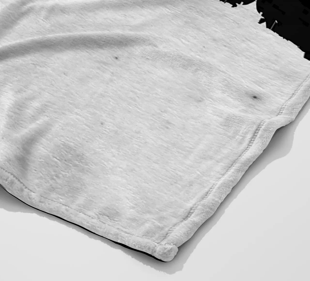 Albany New York coperta in pile da Travelstudio