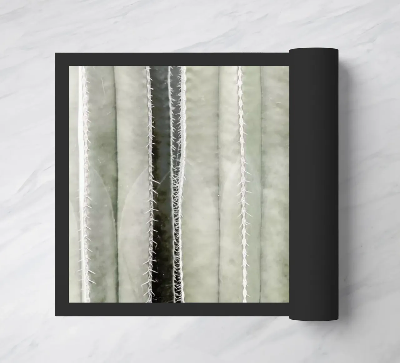 Cactiriver zerbino da Shot By Clint