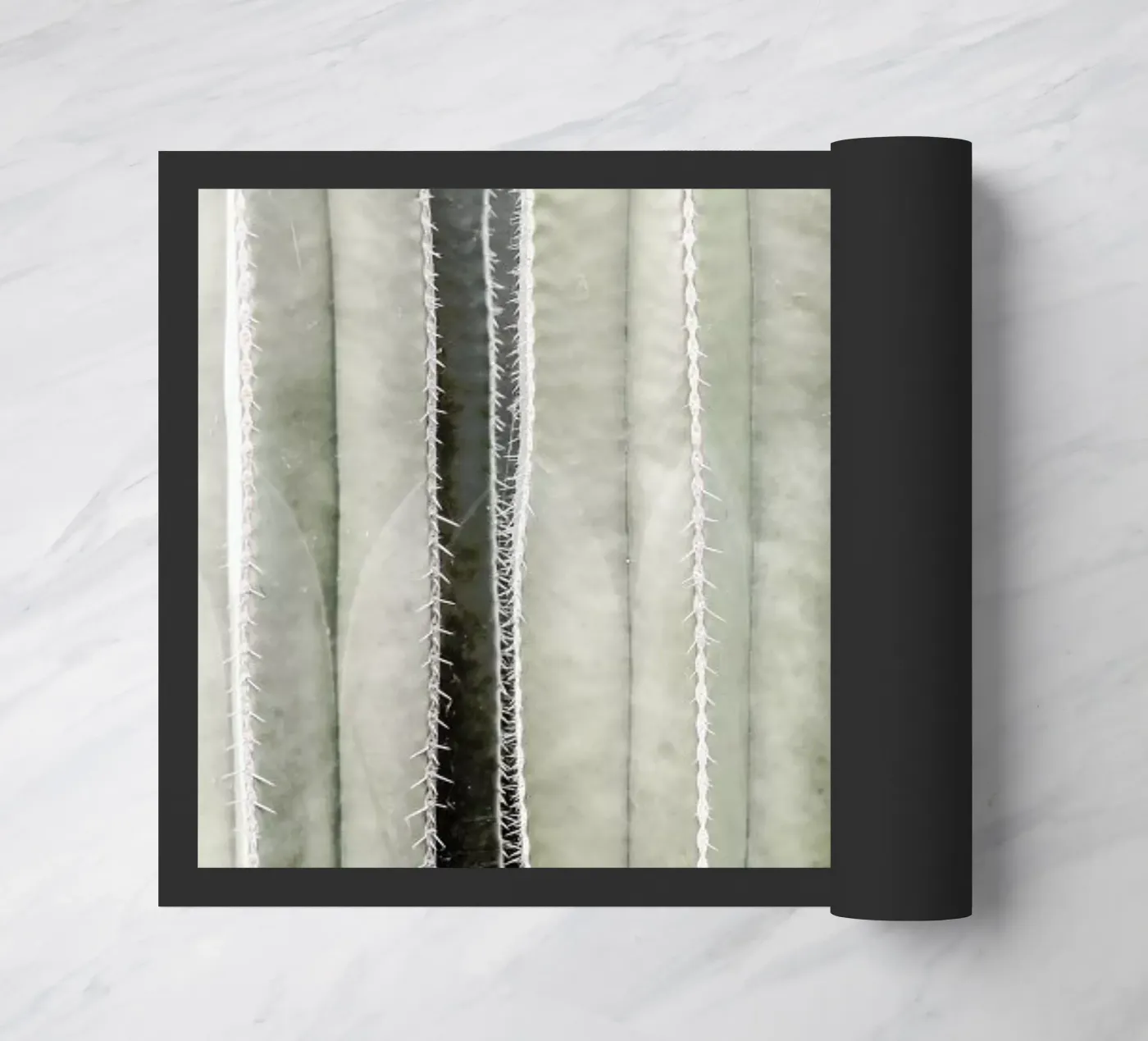 Cactiriver zerbino da Shot By Clint