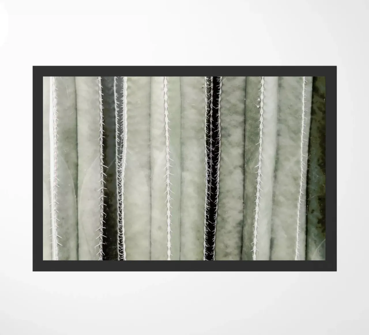 Cactiriver zerbino da Shot By Clint