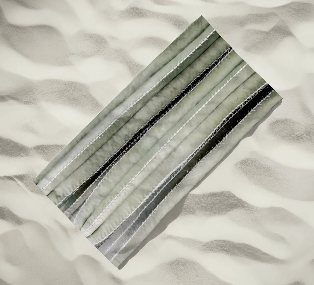 Cactiriver telo mare da Shot By Clint