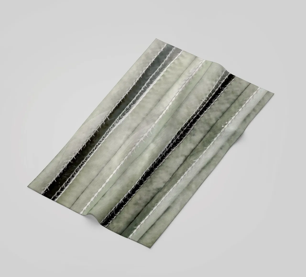 Cactiriver telo mare da Shot By Clint