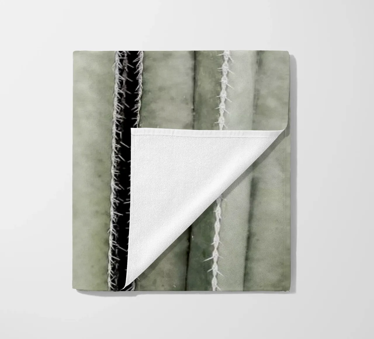 Cactiriver telo mare da Shot By Clint