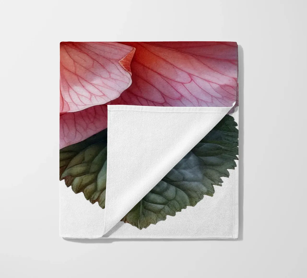 Fiore di Begonia di cera telo mare da Bold Blooms