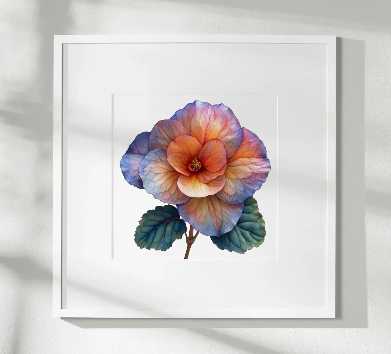 Fiore di Begonia di cera poster con telaio in alluminio da Bold Blooms
