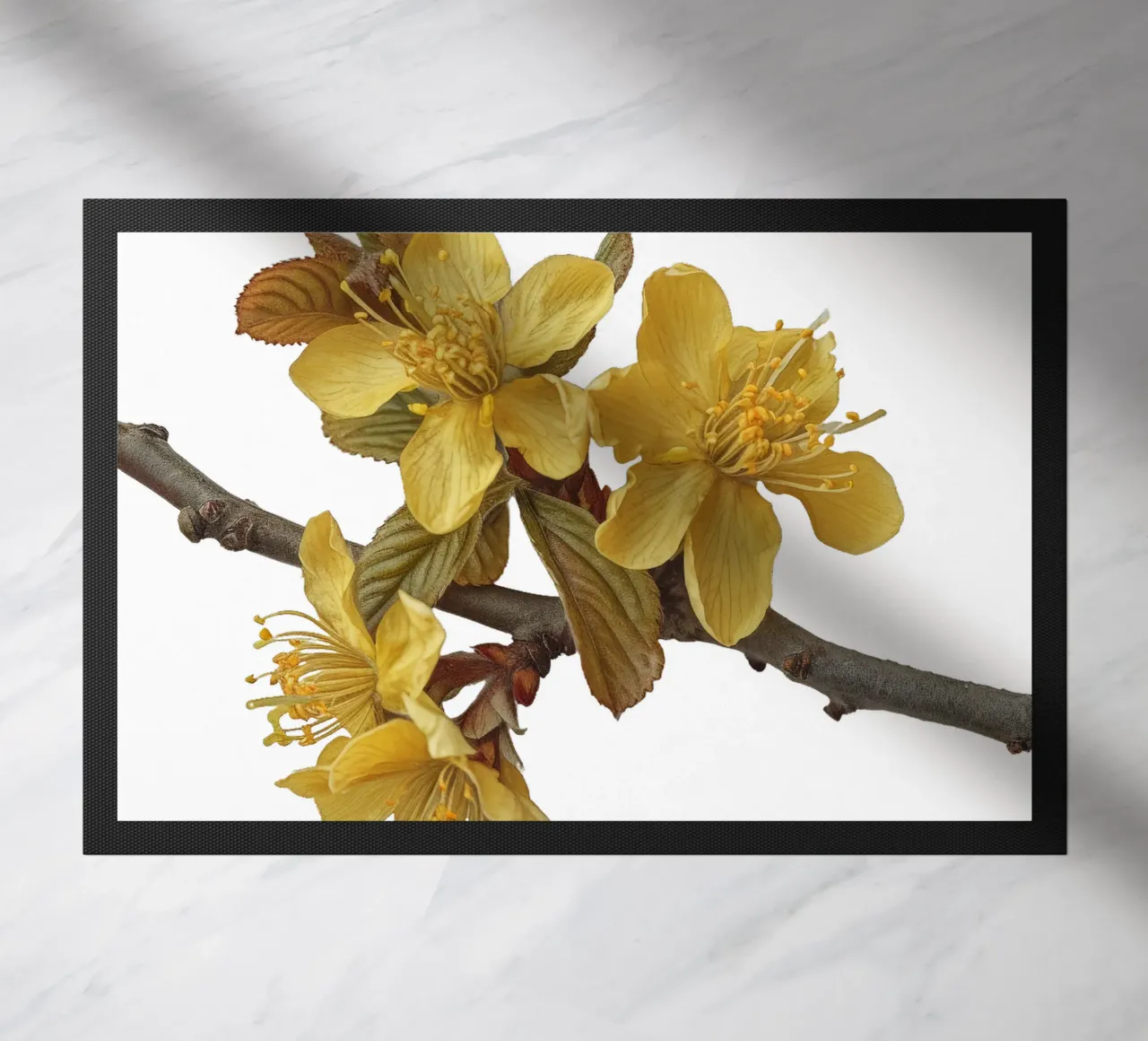 Fiore di amamelide zerbino da Bold Blooms