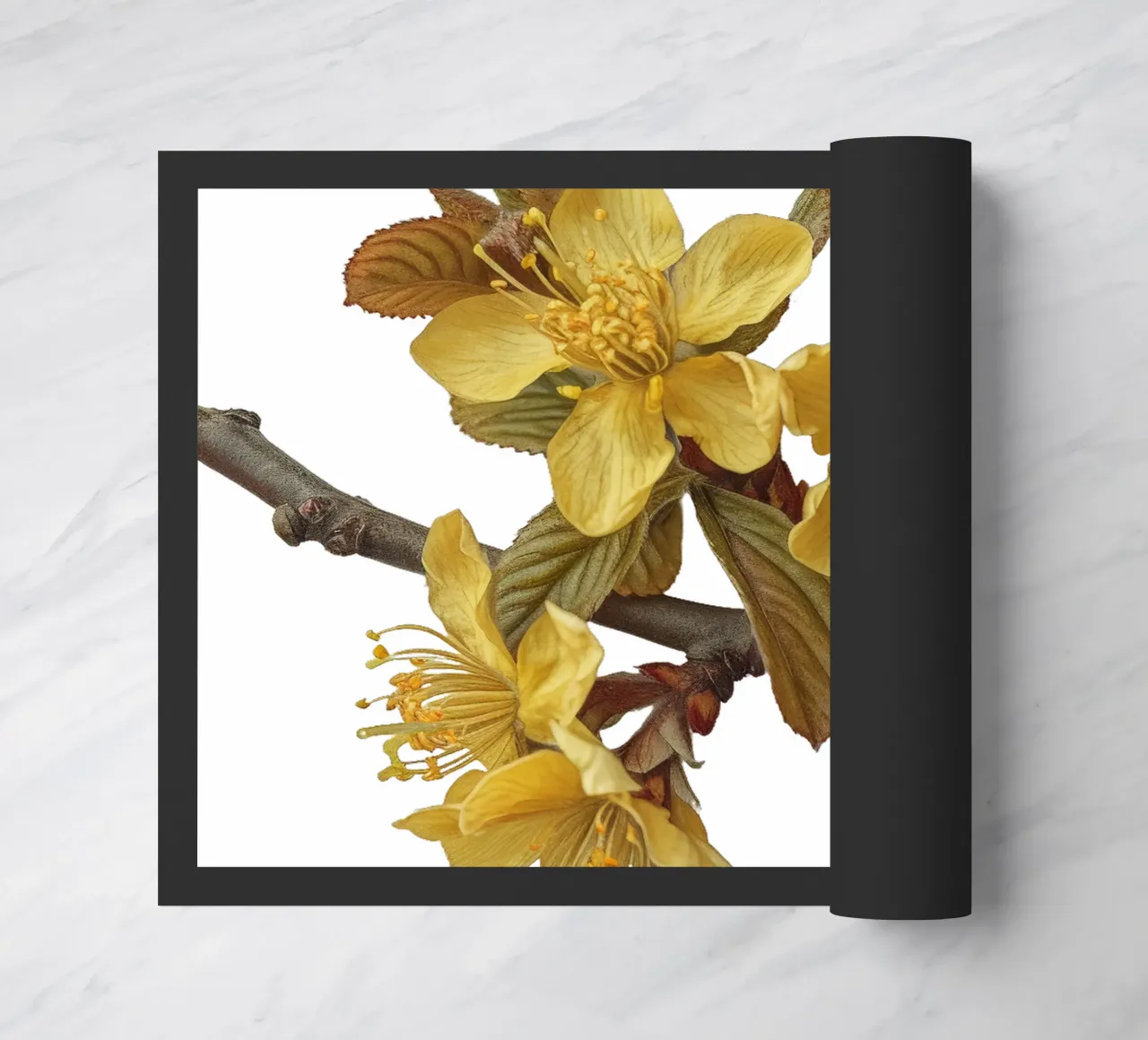 Fiore di amamelide zerbino da Bold Blooms