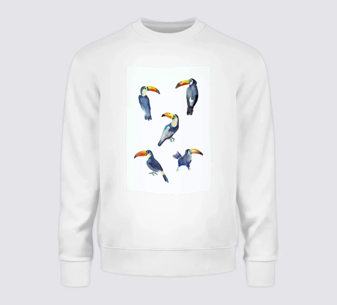 Toucan felpa da Farina Kuklinski