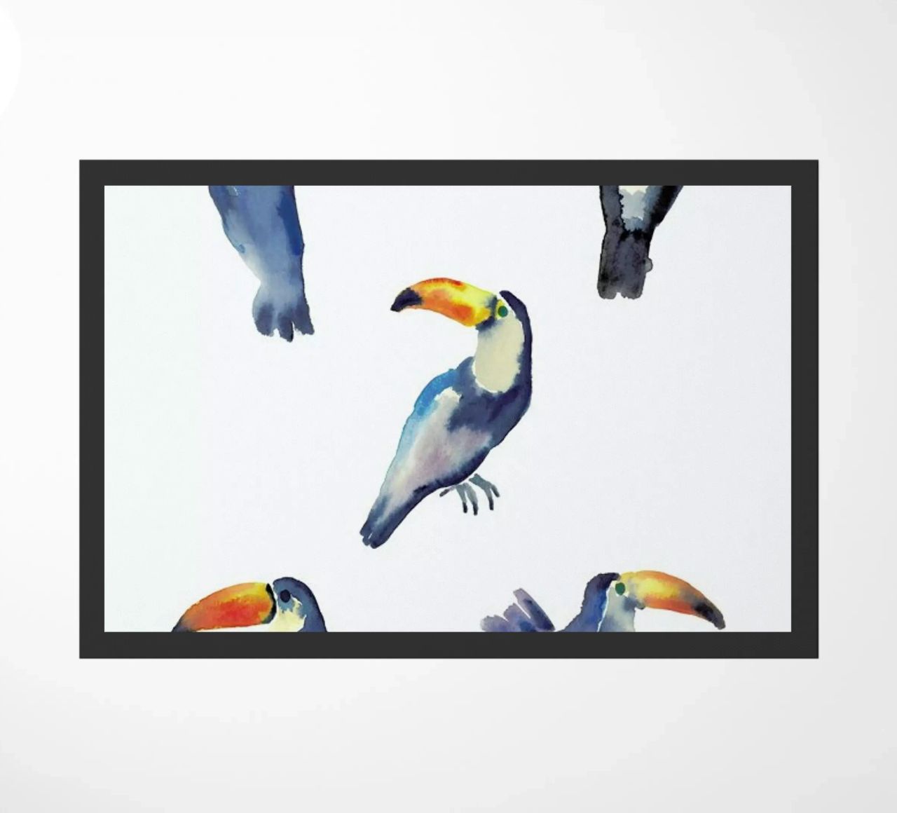 Toucan zerbino da Farina Kuklinski