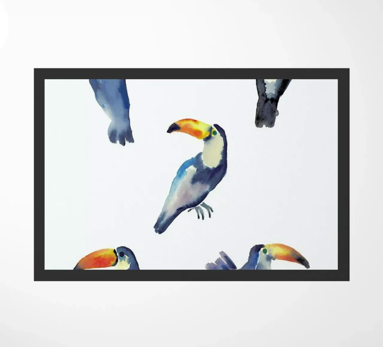 Toucan zerbino da Farina Kuklinski