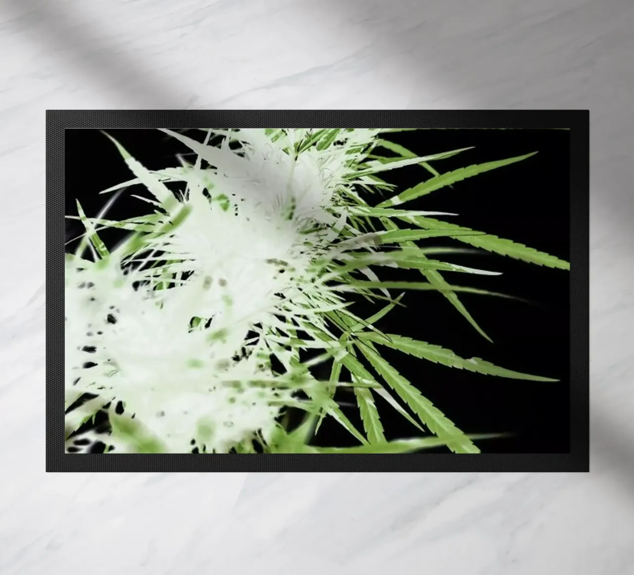 Doob zerbino da Shot By Clint