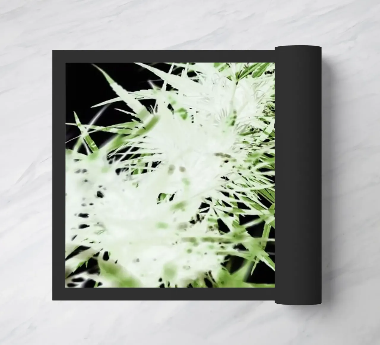 Doob zerbino da Shot By Clint