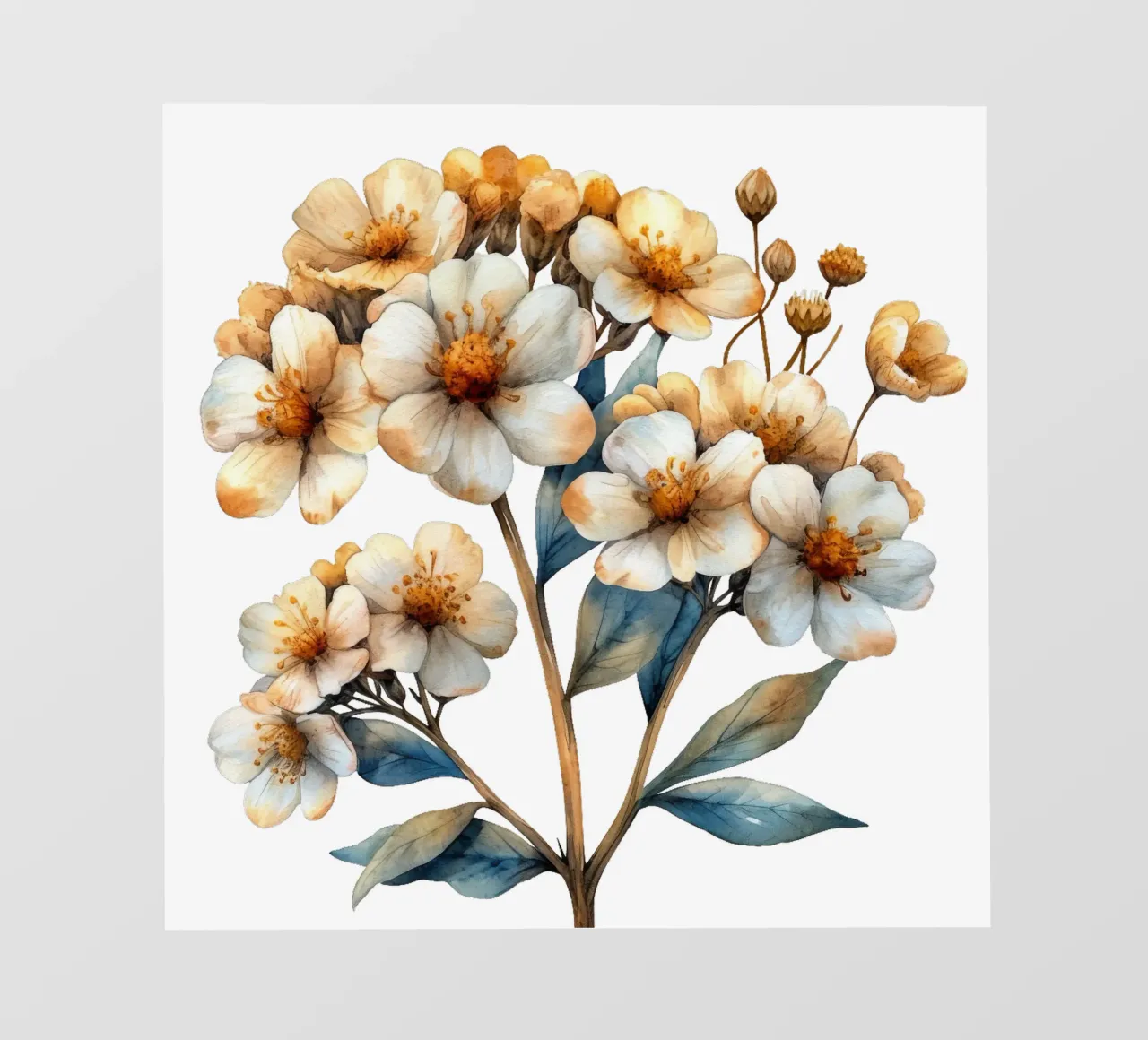 Fiore di achillea telo in pvc da Bold Blooms