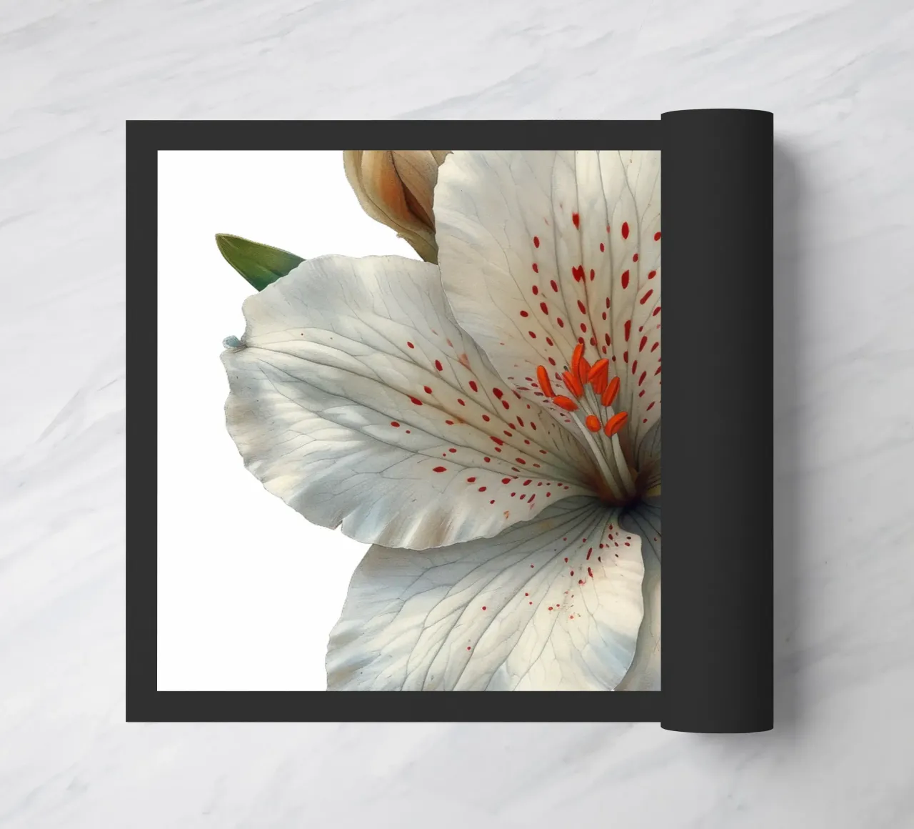 Fiore di Zephyranthes zerbino da Bold Blooms