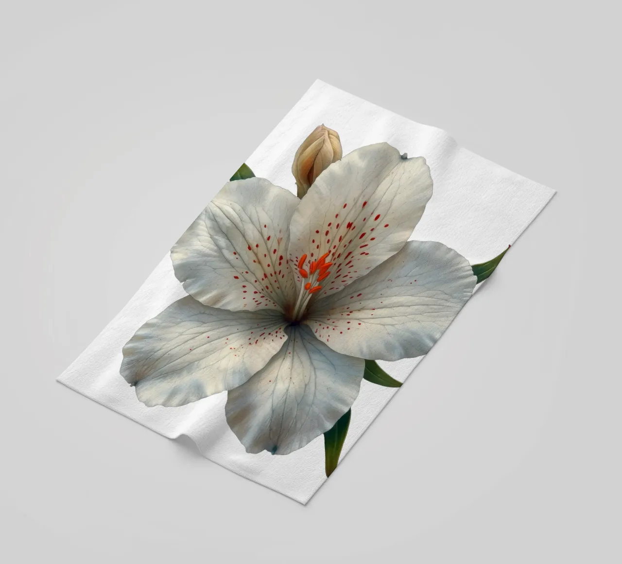 Fiore di Zephyranthes telo mare da Bold Blooms