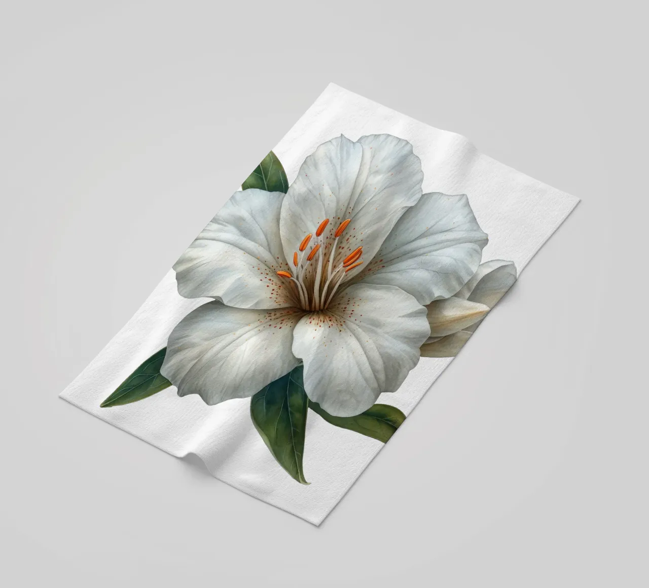 Fiore di Zephyranthes telo mare da Bold Blooms