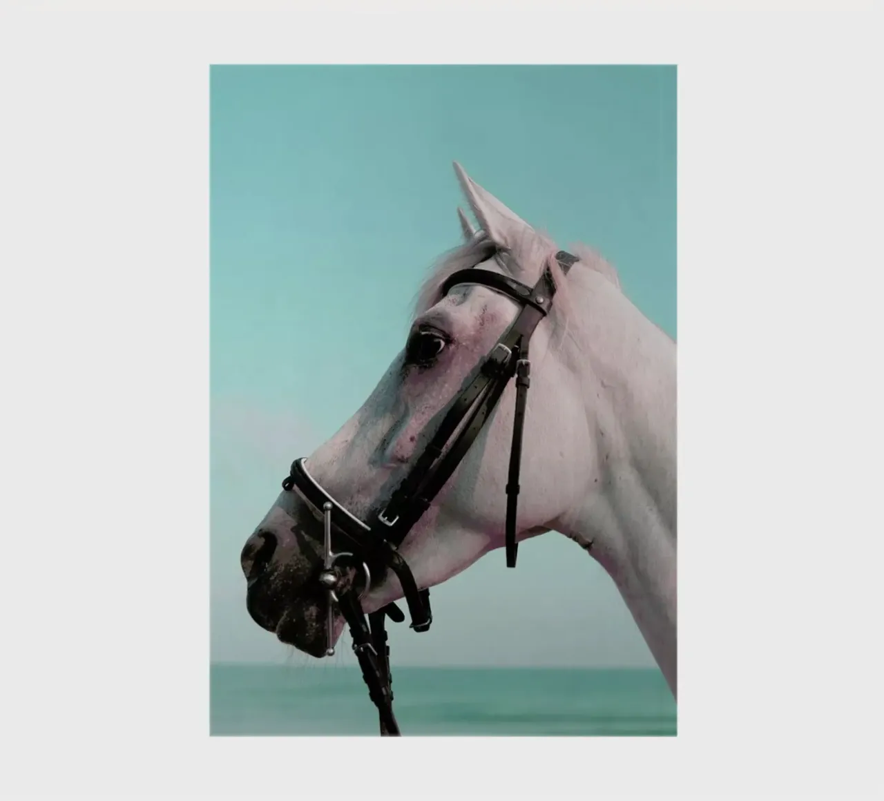 Horse Portrait notebook by Lara Zankoul