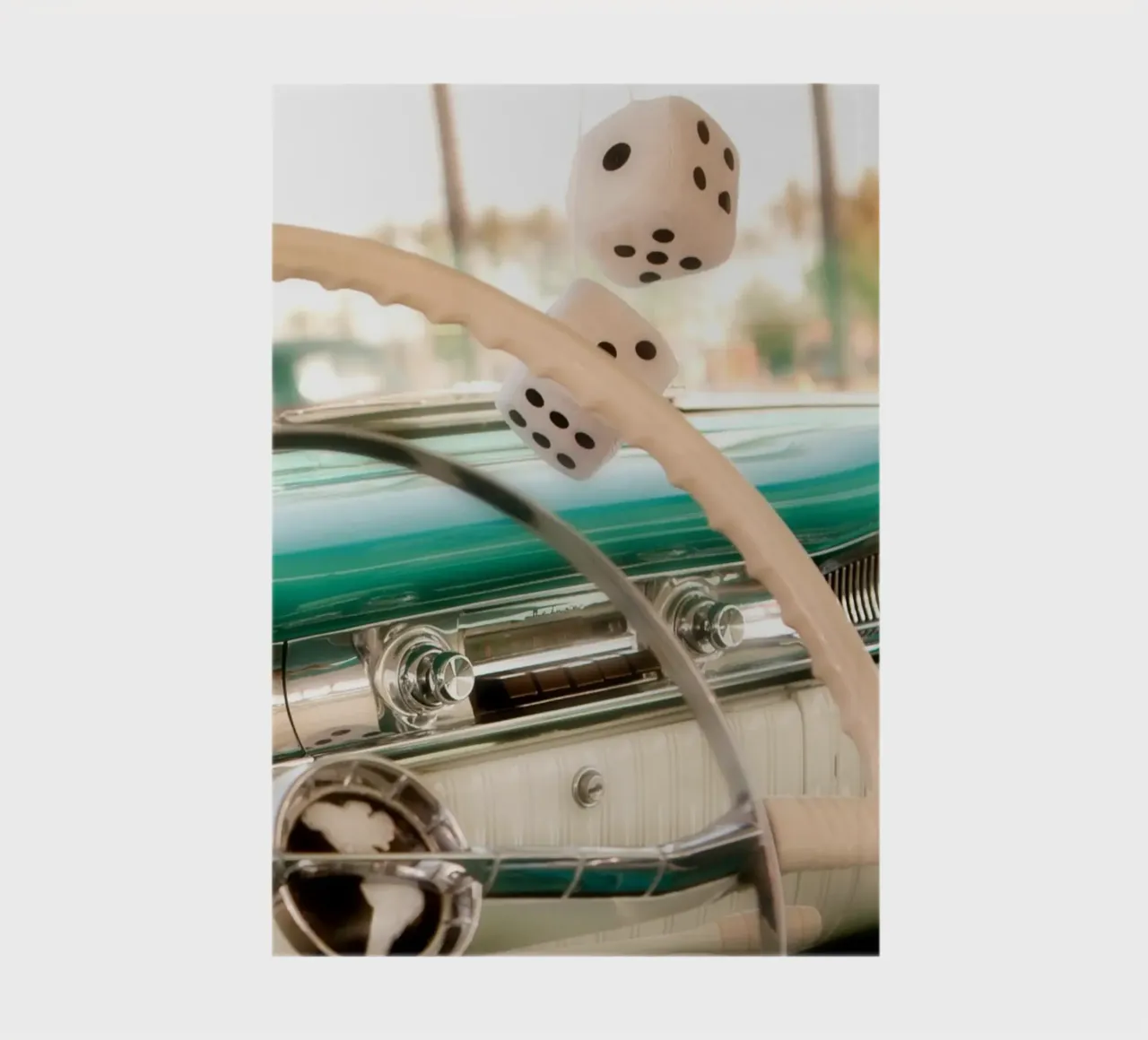 Fluffy Dice notebook by Dave Hare Photography