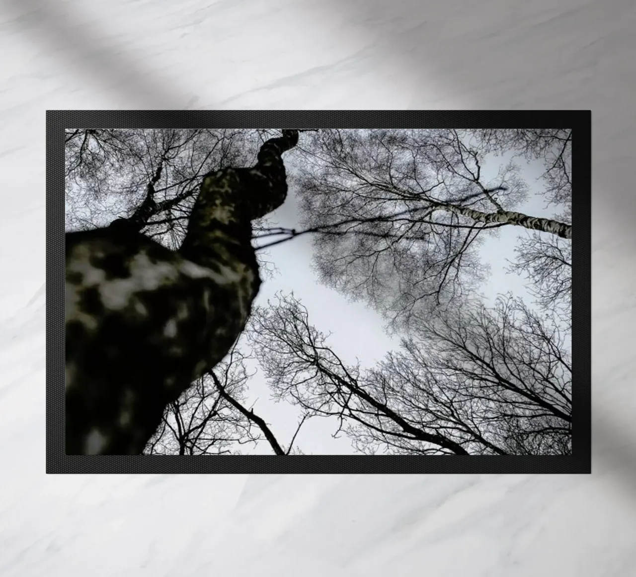 Forest 2 zerbino da Shot By Clint