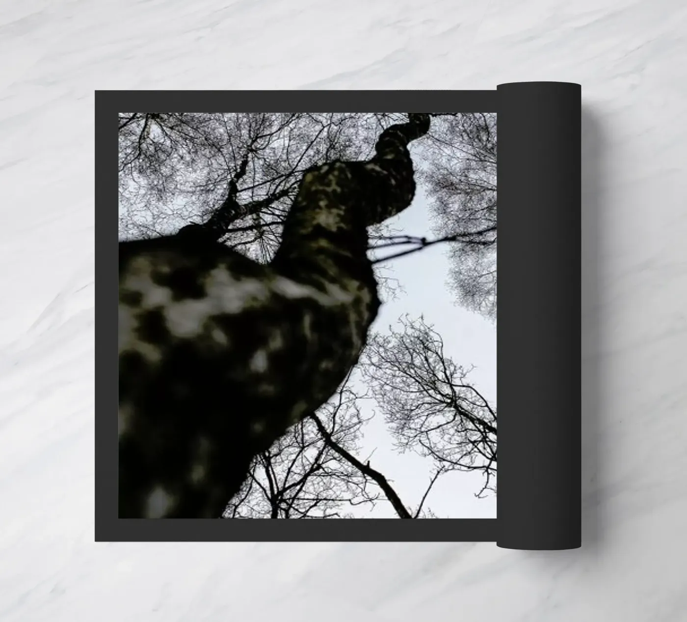 Forest 2 doormat by Shot By Clint