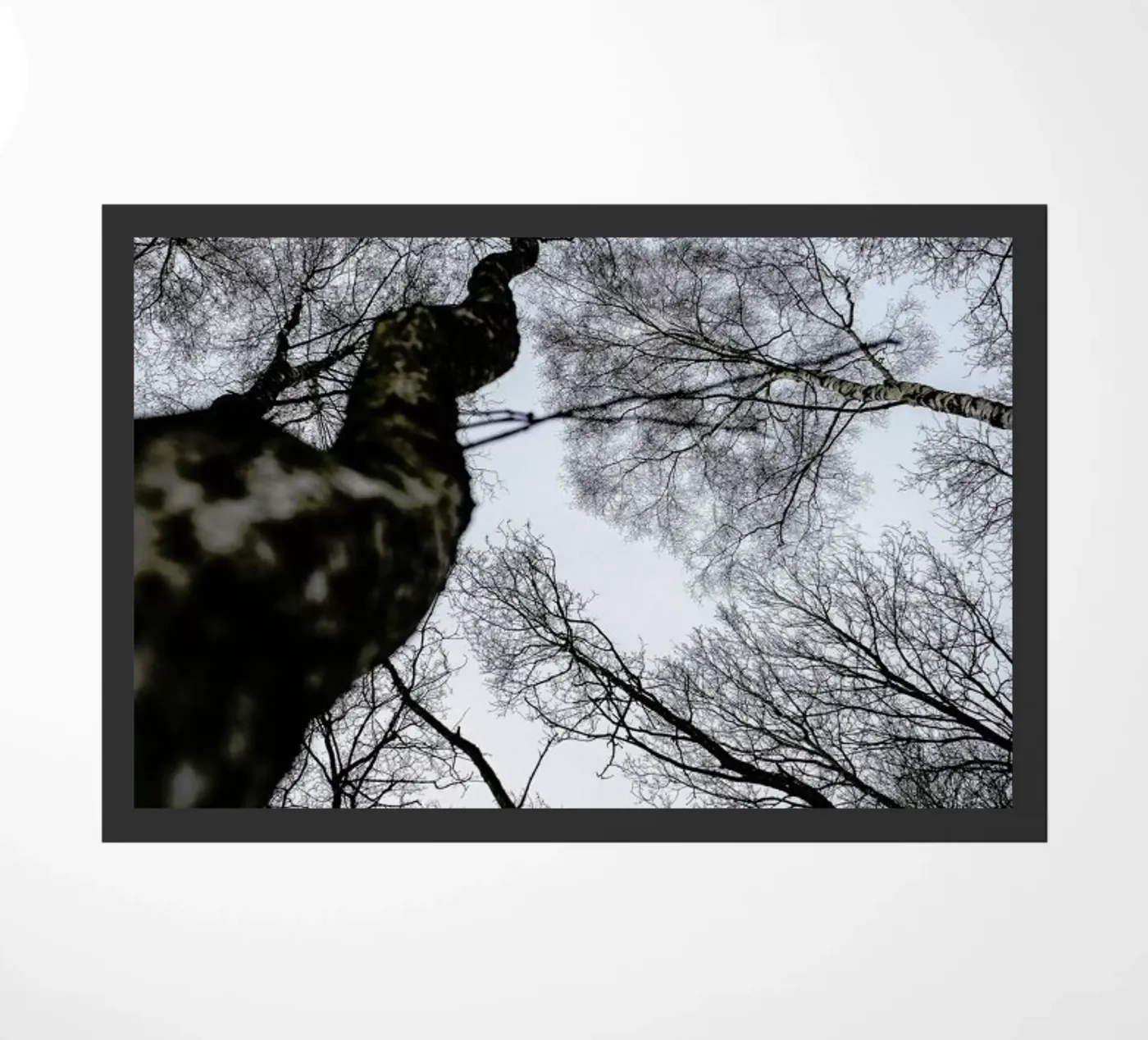 Forest 2 doormat by Shot By Clint