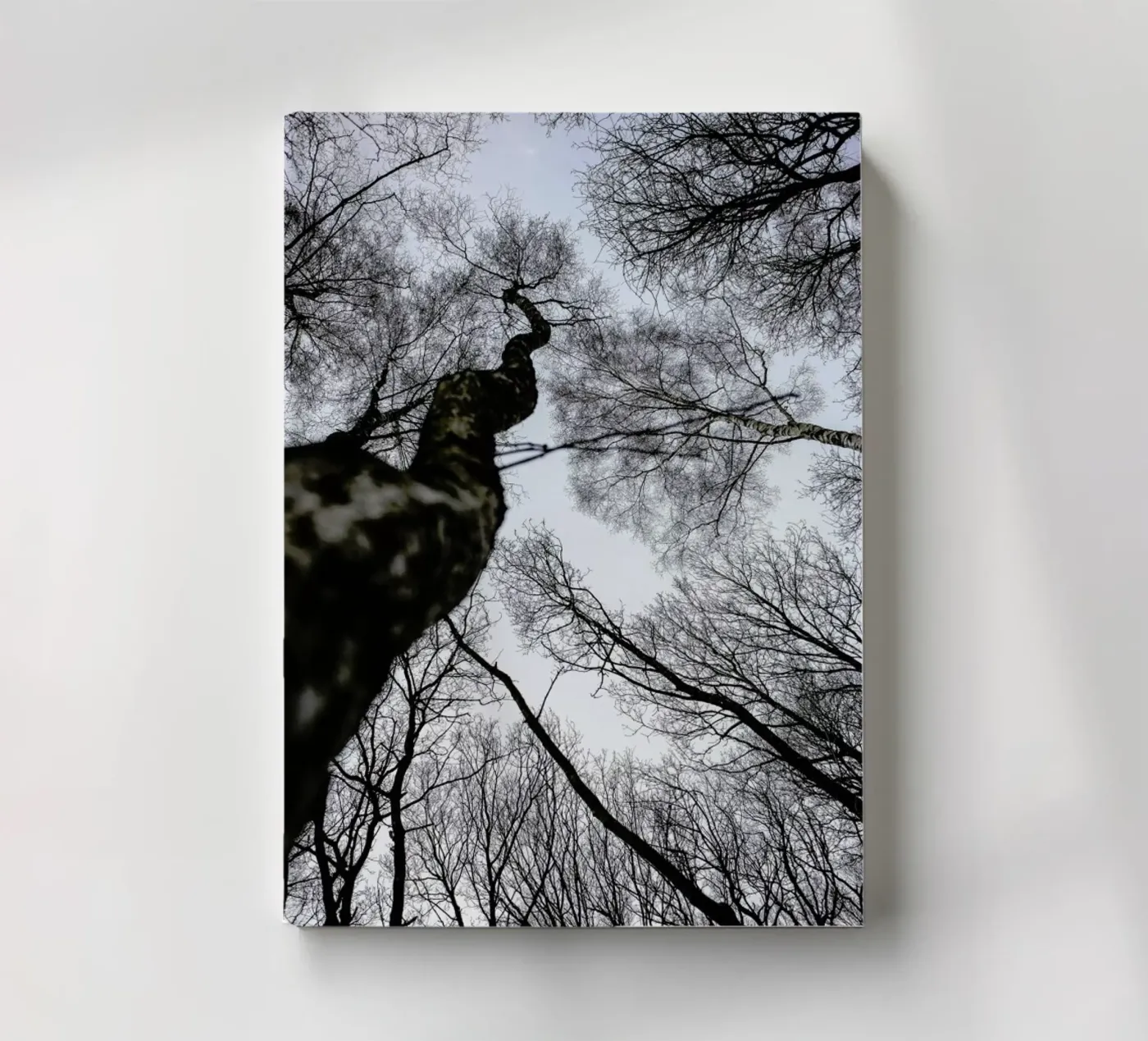 Forest 2 notebook by Shot By Clint