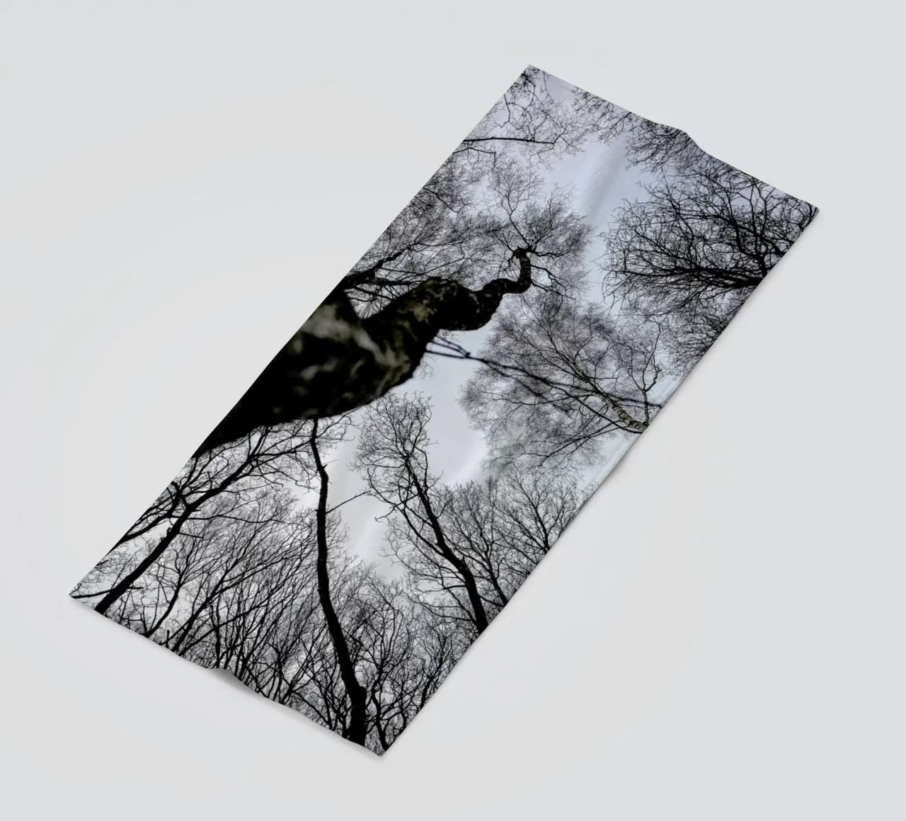 Forest 2 telo mare da Shot By Clint