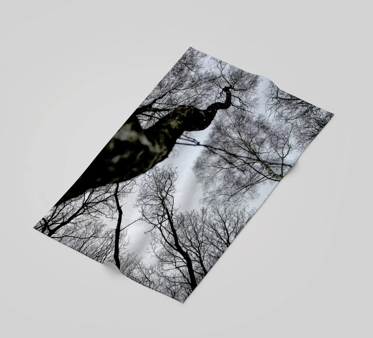 Forest 2 telo mare da Shot By Clint