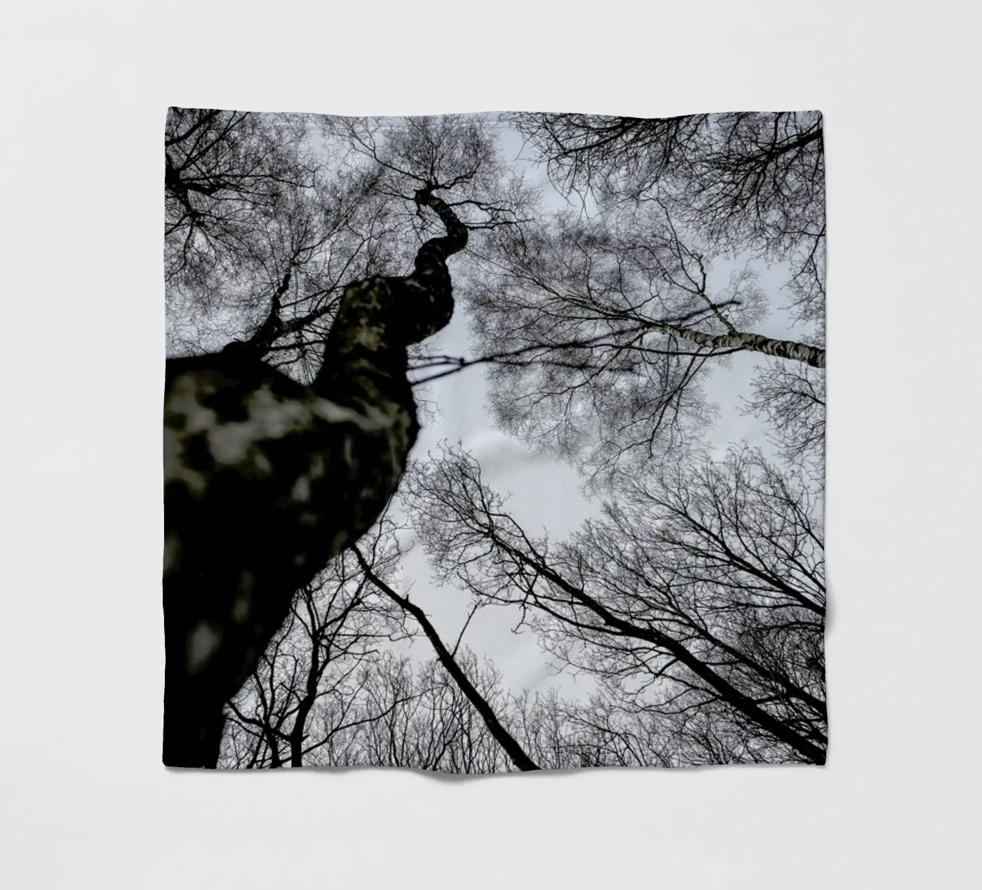 Forest 2 fleecedeken van Shot By Clint