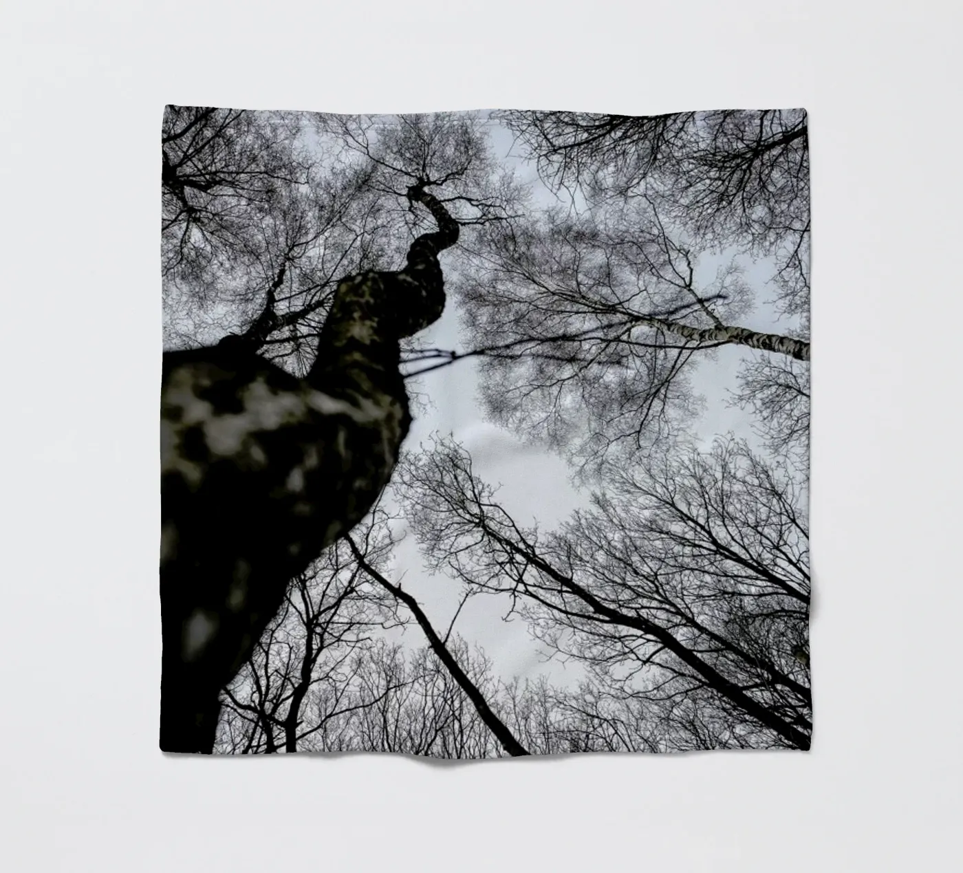 Forest 2 fleecedeken van Shot By Clint