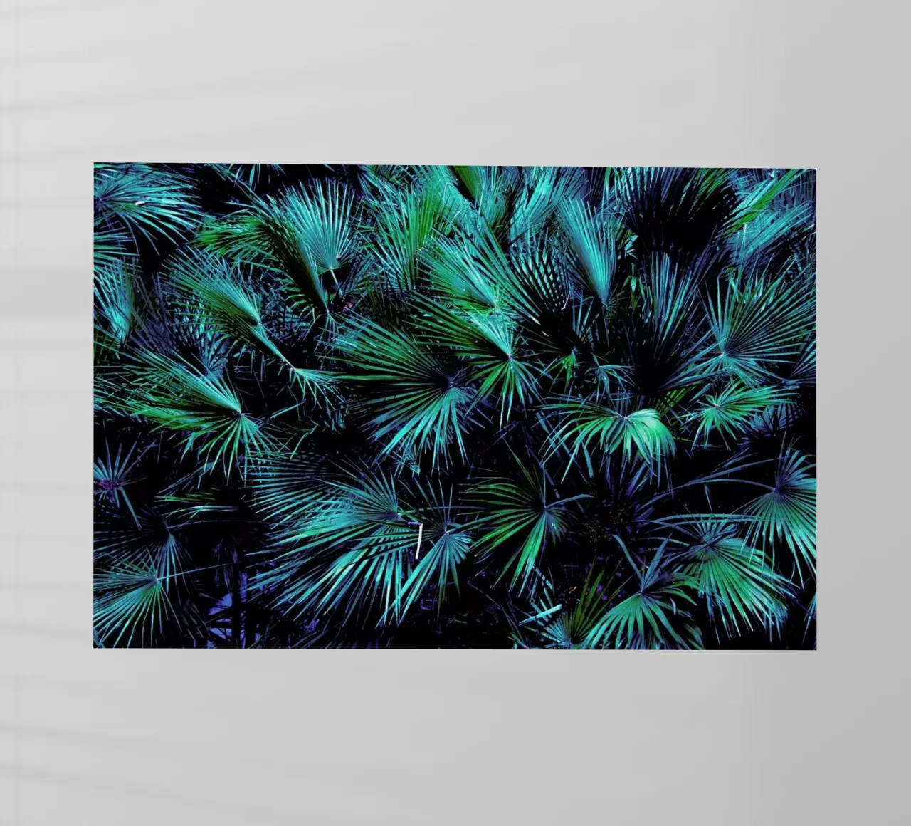 Amoung the Palm Leaves pellicola backlit da Victoria Frost