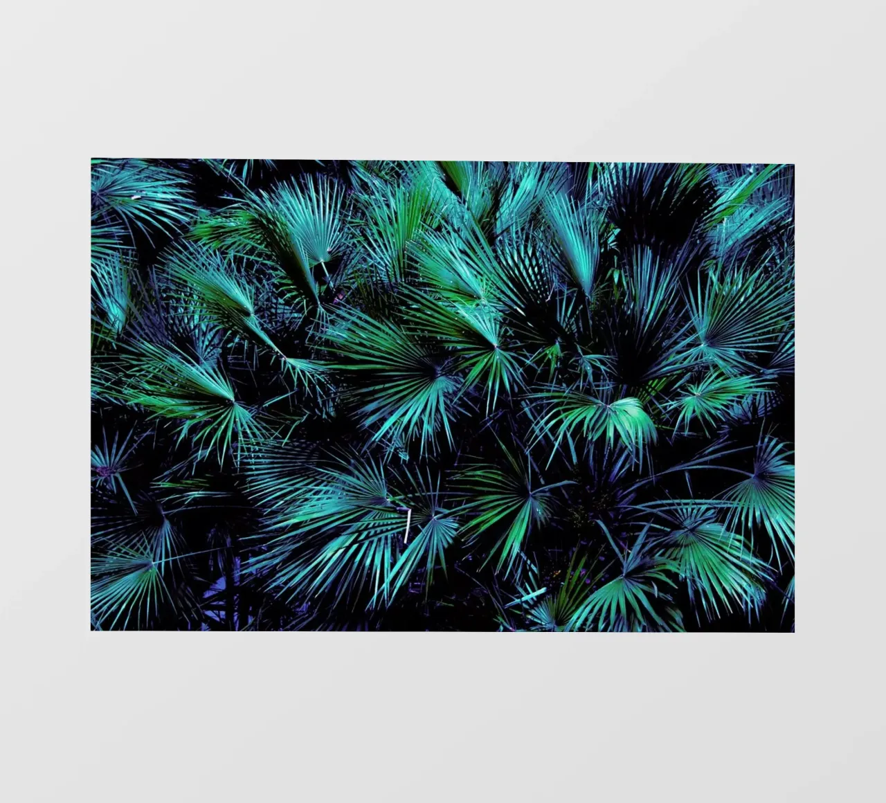 Amoung the Palm Leaves pellicola backlit da Victoria Frost