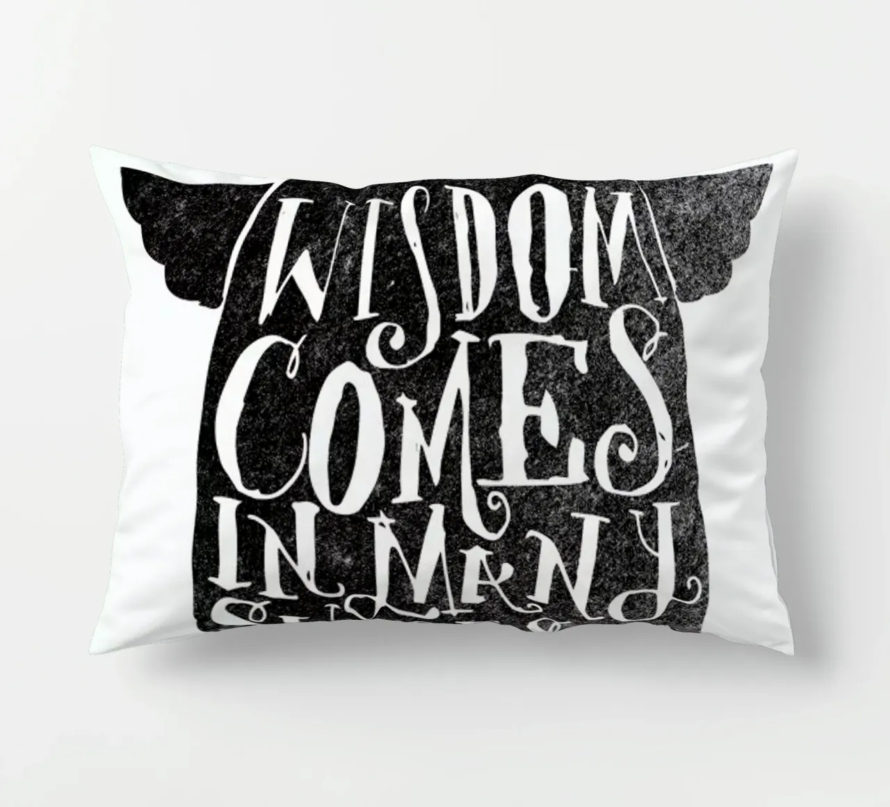 wisdom comes in many shapes and sizes kussen van Matthew Taylor Wilson