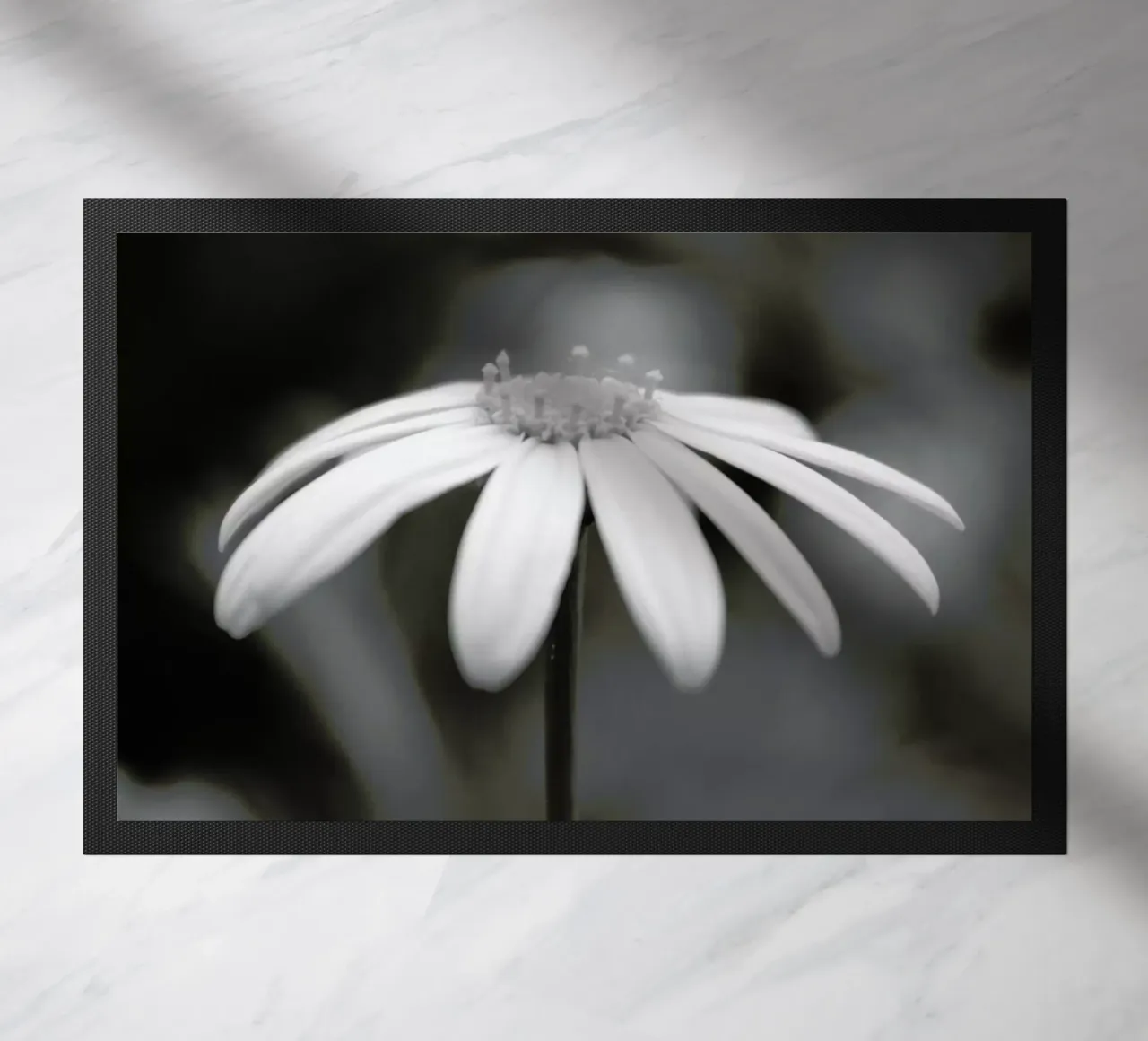 Daisy zerbino da Victoria Frost