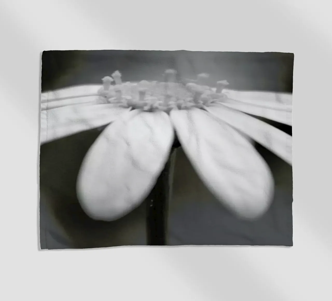 Daisy telo mare da Victoria Frost