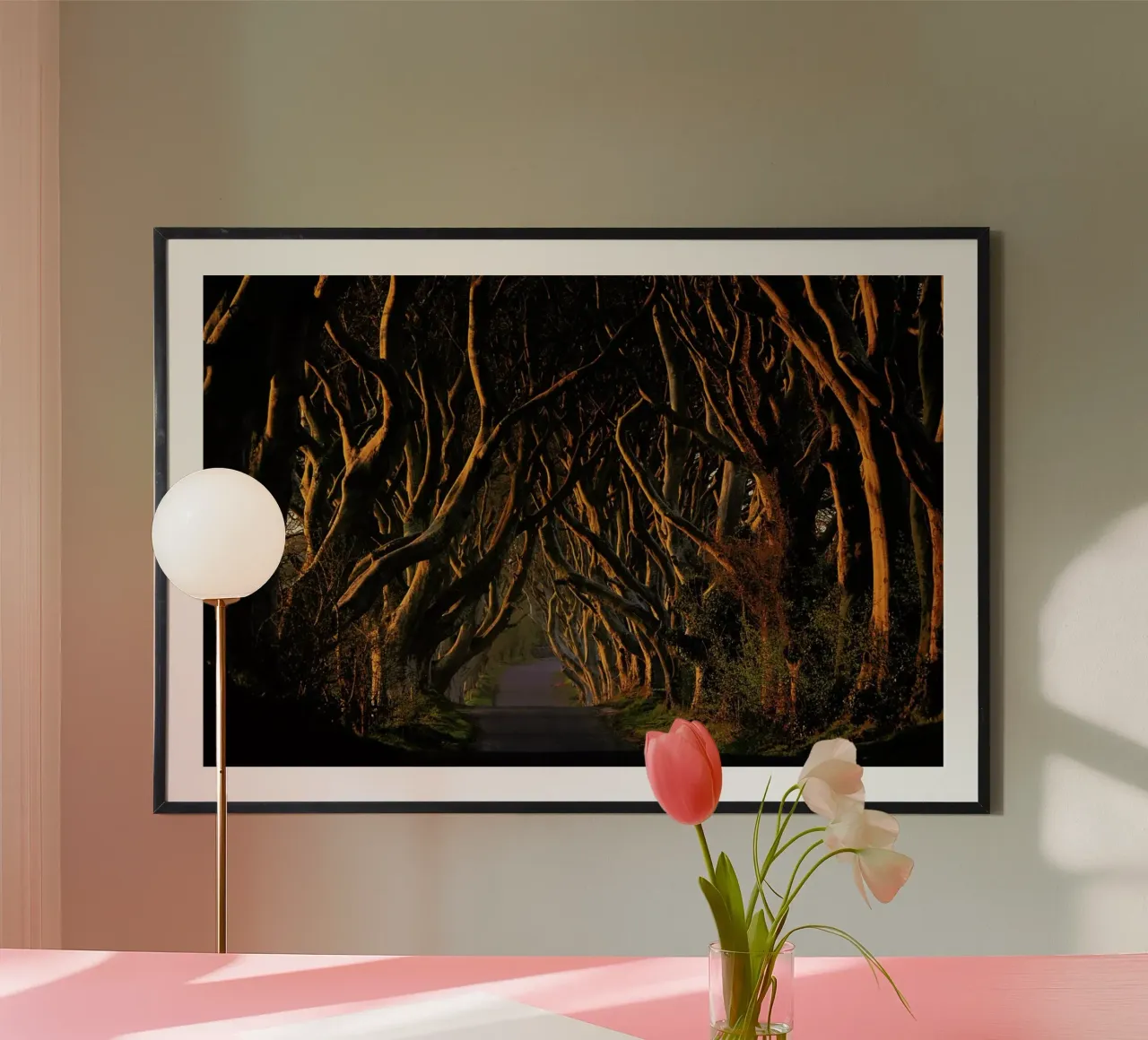 The Dark Hedges in the Morning Sunshine - Piotr Galus poster da Pictufy