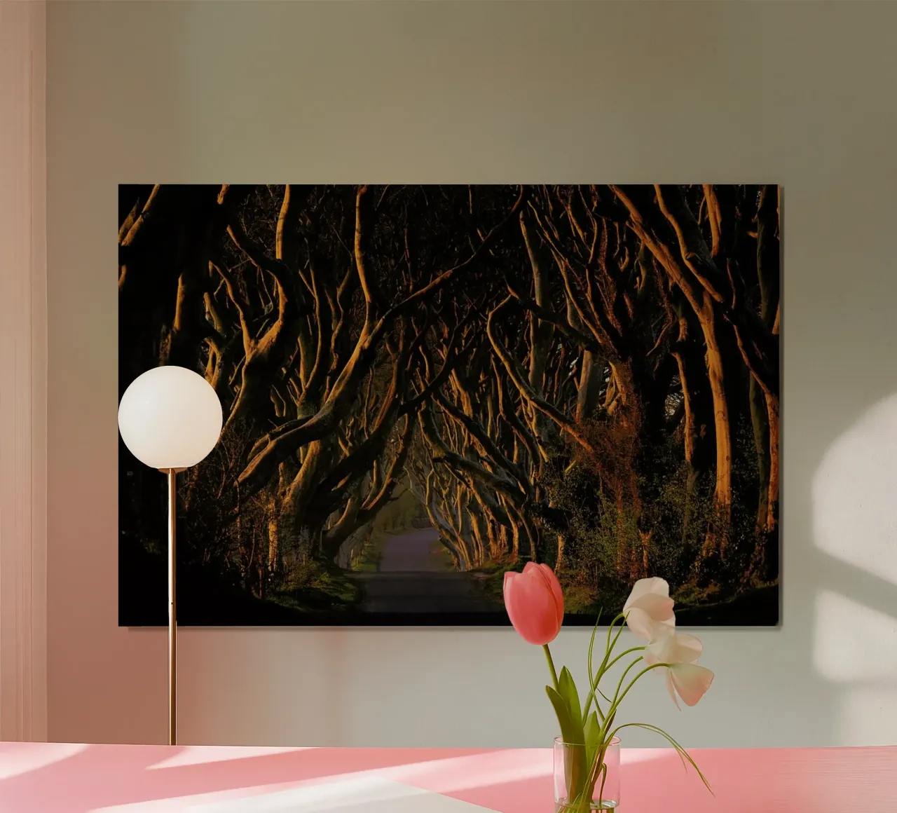The Dark Hedges in the Morning Sunshine - Piotr Galus poster da Pictufy