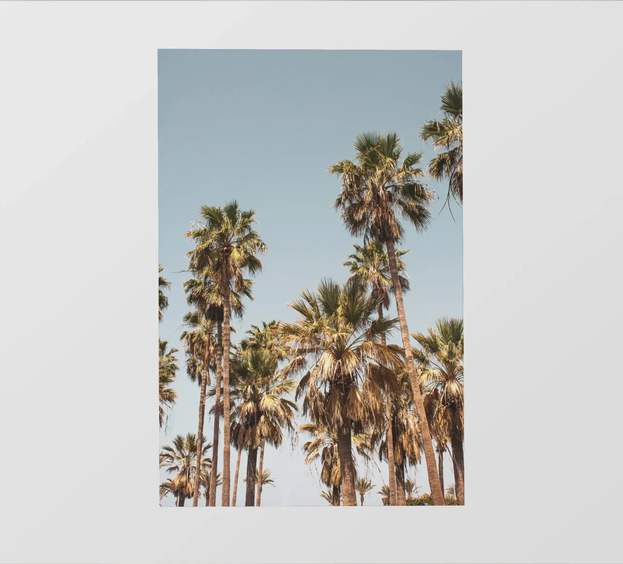 LA Palm Trees By the Beach II telo in pvc da Victoria Frost