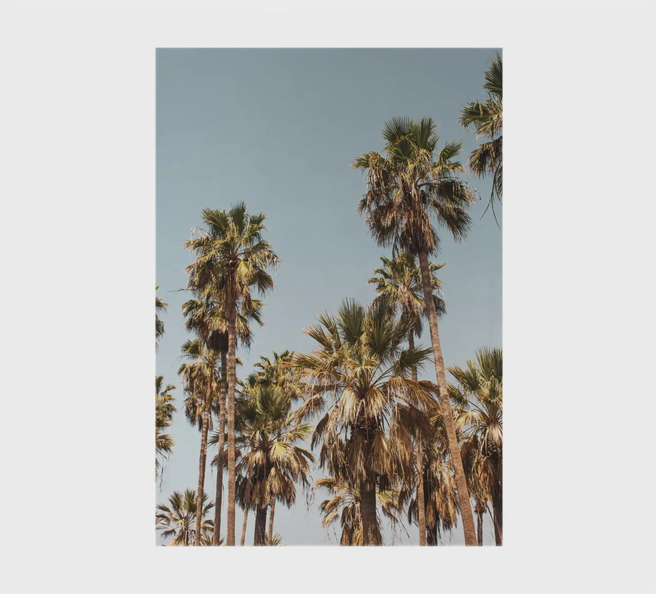 LA Palm Trees By the Beach II notebook by Victoria Frost