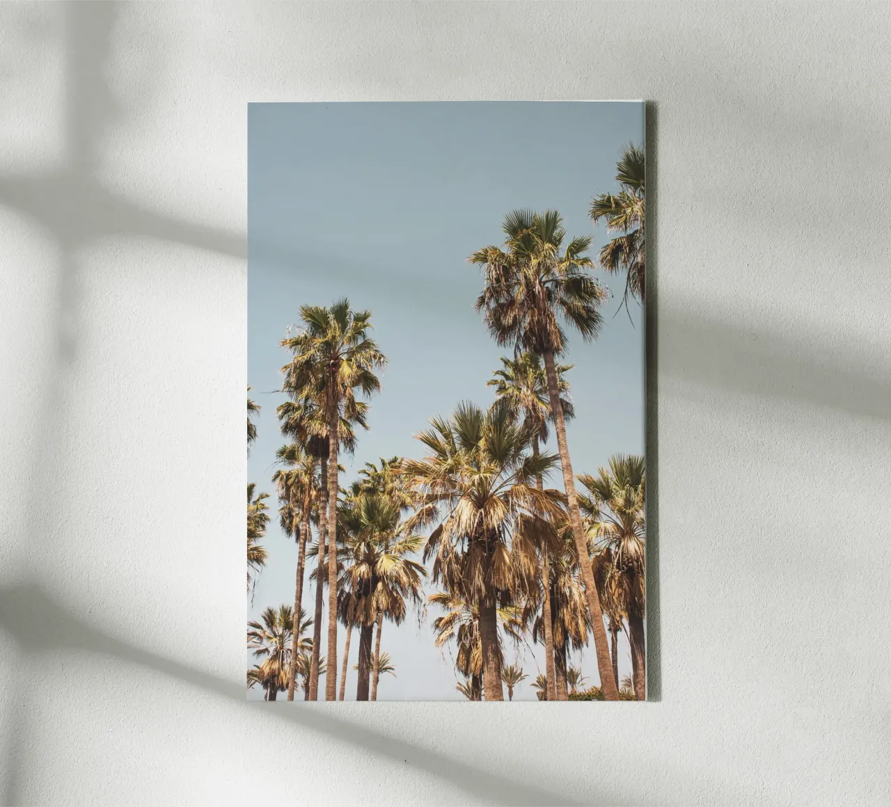 LA Palm Trees By the Beach II canvas by Victoria Frost