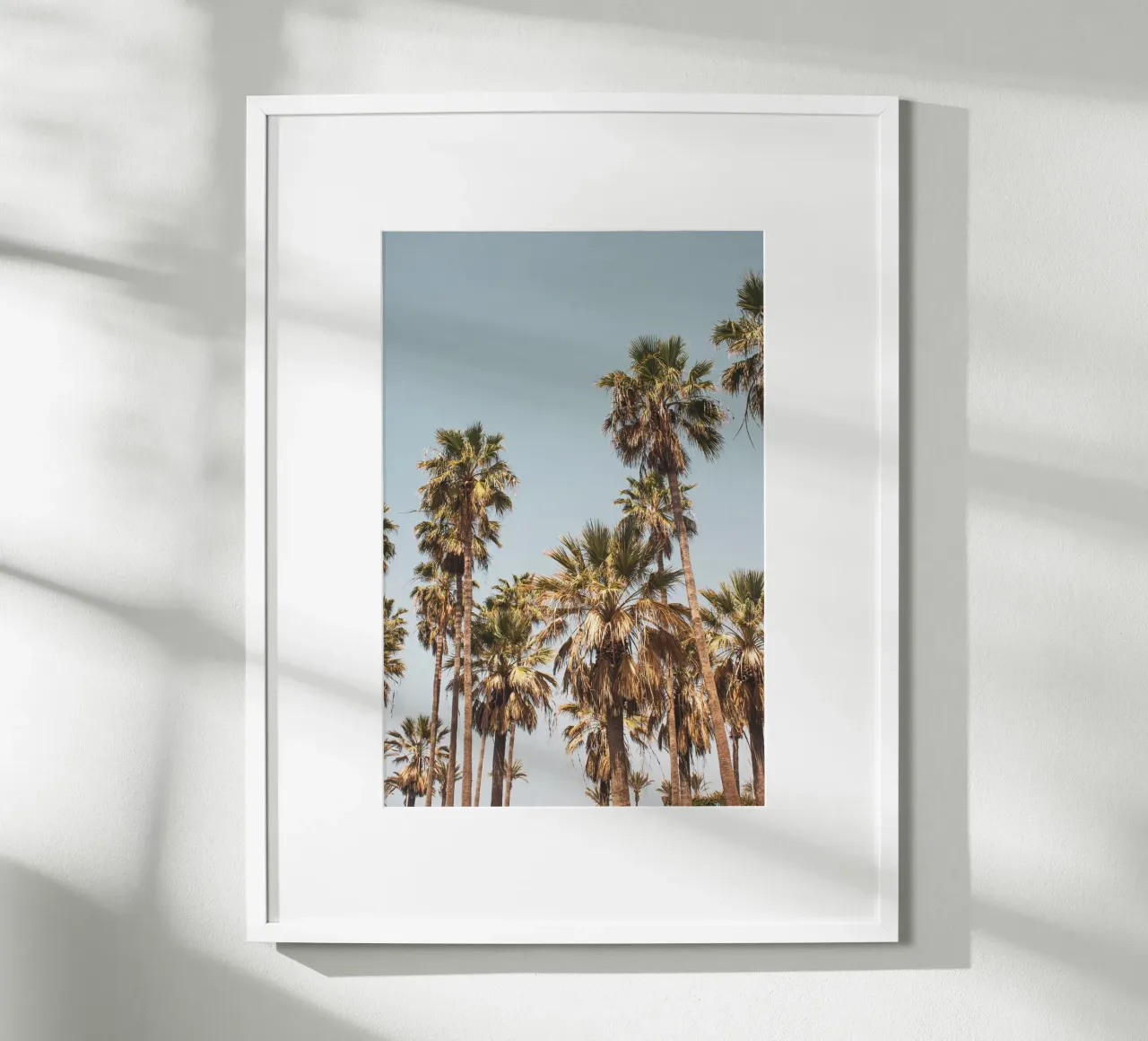 LA Palm Trees By the Beach II carta hahnemühle da Victoria Frost