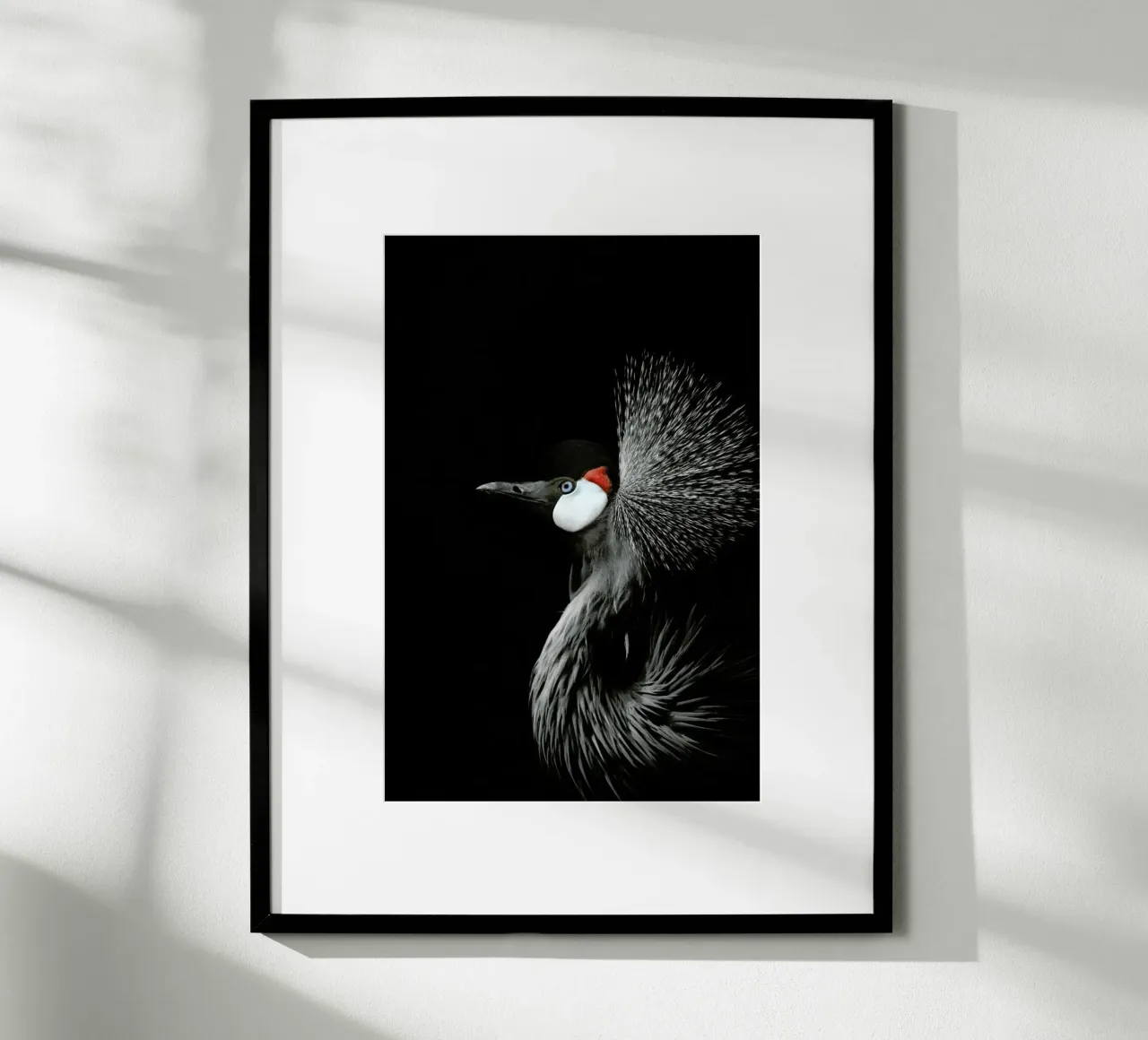 Gru dalla corona nera poster da Monika Strigel