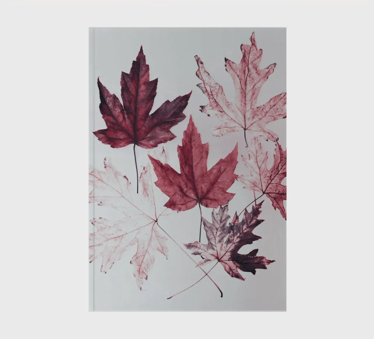 Leaves red maple notebook by Teresa André